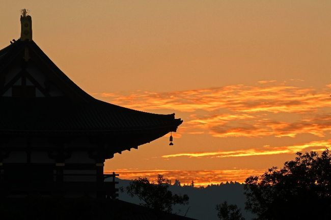 ５００ミリを出し撮る。素晴しい朝焼け
