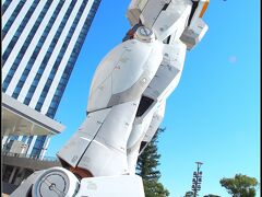 でも.....一般標準家庭に生まれ育った日本男子でしたので、ロボットが大好きな時代が月並みにございました...。あ！ガンダム世代は「モビルスーツ」いうんか？