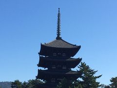 駅から三条通りを歩いて約10分ほど。
興福寺に着きました。五重塔、国宝館で阿修羅を観てお参りをしました。