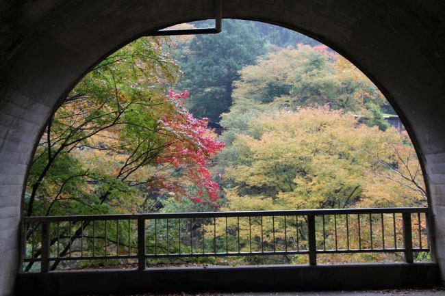 滝に行く途中の景色です。<br />色づき始めの木がありました。<br />アーチのコントラストが映えます。