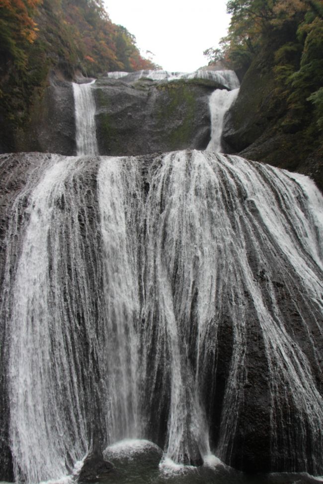 袋田の滝に到着〜。<br />エレベーターに乗る前のビューポイントです。<br />高さこそないものの、幅が広くて結構迫力がある滝でした。<br /><br />この後は、エレベーターに乗るので、ペットと一緒にいられるのはここまで。<br />この先、夫と私は交代して上にいきます。