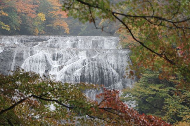紅葉は色づき始めでした。<br />見頃だと素晴らしいんだろうな〜。