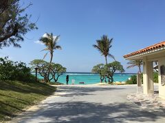 お昼になりましたが、目的のそば店が混雑していたので、ブセナ海中公園に寄る事にしました。