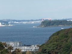 坂を登りきったら、海が見えました。

正面に見える島は、「猿島（さるしま）」です。

猿島の向こうに見えるのは、追浜のドック（住友重機械工業追浜造船所）です。
左のマンションのような建物は、米海軍横須賀基地の住宅だそうです。

なお、すぐ右側の山の上には防衛大学校があります。