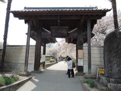 　次は、神代桜です。
　日本3大桜というのに、駐車場はさほど混んでいませんでした。
　寺の付近には、有料の駐車場がいくつもありますが、いずれも個人経営のようです。なので、客引きに迷わされず、門前まで図々しく行き、利便性と空き具合を見極めてから入った方がよいようです。