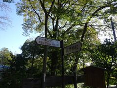と、ここまでは前にも来たことがあるのですが、どうやらこの先は織姫公園といって、散策路になっているらしいので行ってみることに。