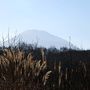 羊蹄山麓ぐるり一周ドライブ　～雪化粧した羊蹄山を眺めながら～