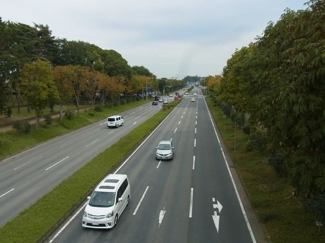 　ここは県道244号線、片道３車線と大きな道路ですが、計画的なつくばの都市家計画がなせる業でしょうか。