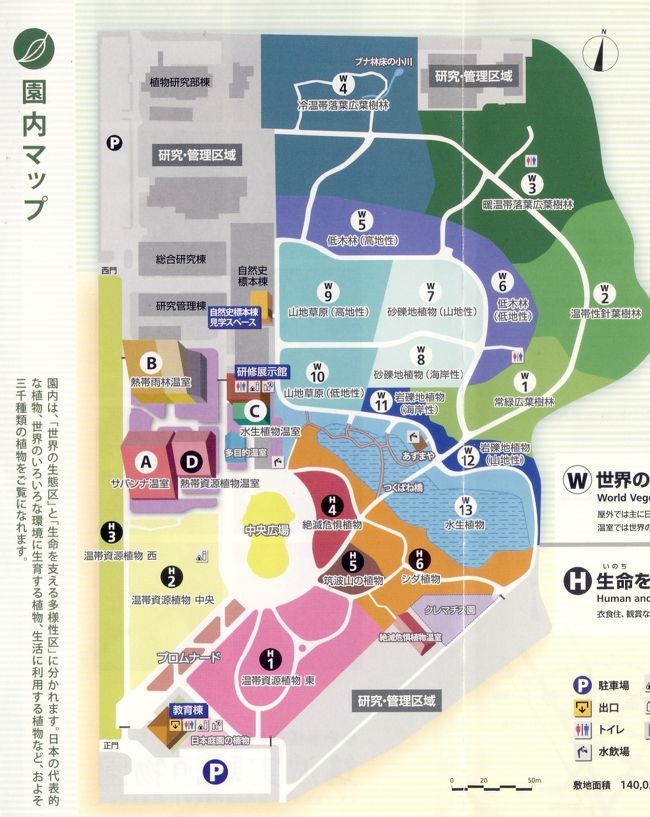 　入園すると、そこは教育棟で、植物園に係わる物品のショップとクラフト教室が開かれています。トイレをお借りしていよいよ園内の探索と観察の開始です。これは筑波実験植物園の全体地図です。色々なブロックに分かれていて、効率よく植物を育てています。園内は非常に広く、観て歩くだけでも丸1日は掛かるでしょうし、ましてや、色々と観察しながらだと相当な時間が必要と思われます。