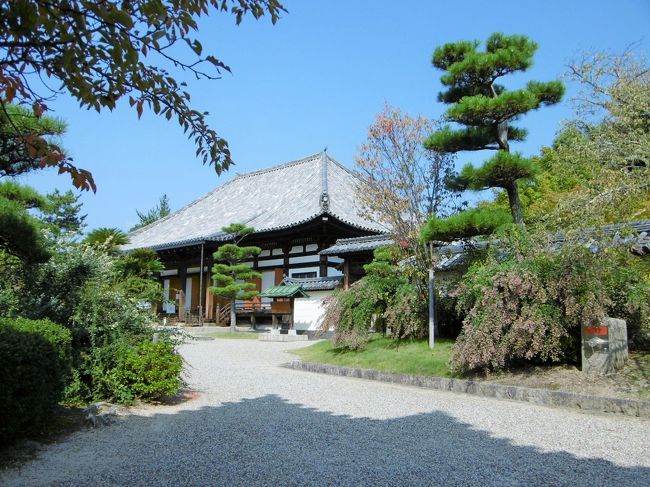 ここは何年ぶりになるか、思い出せないくらい遠い昔に訪れたことがある。<br /><br />本堂に向かう右側には萩の花。