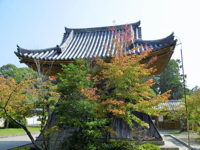 護摩堂廻廊から見た鐘楼。<br /><br />木々の紅葉具合がすてき。<br /><br />