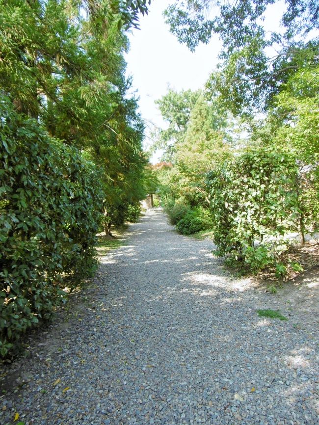 参道<br /><br />バス停「法華寺前」で降りるとすぐに、この寺がある。<br />一歩中に入ると、俗界から遠く隔たった感覚にとらわれる。