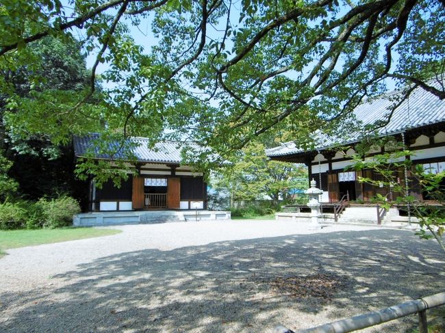 東金堂跡付近から、本堂と西金堂を眺めたもの。<br /><br />平日だからか、境内はひっそりとして、観光客は私たち以外に男性一人のみ。