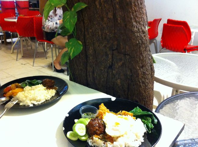 場所はお店の中にこの木がある所です。赤いイスも目印