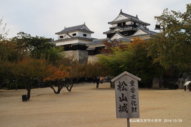 中古】 復元体系 日本の城 第7巻 南紀・四国 和歌山・香川・愛媛