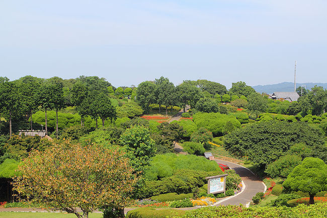 こんな景色を見ながらの弁当は最高でした。