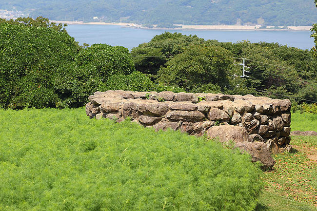 この石で囲われたものは・・・