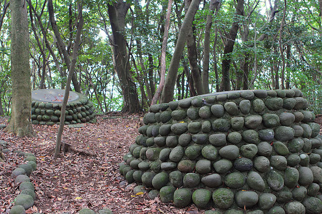 途中、森の中を歩きます。そんなに急な坂はありません。