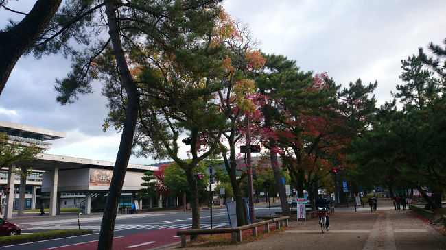 近鉄奈良駅から東に若草山方向に歩きます。