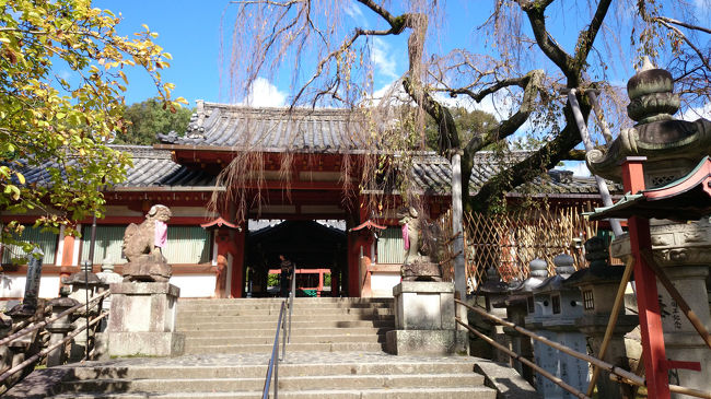 こちらは、垂れ桜が有名だそうです。