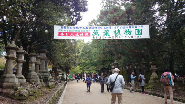 石灯籠が並ぶ道を歩きます。途中に万葉植物園があります。この日は、雅楽会が催されていました。