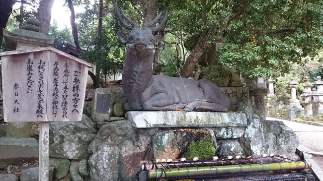 手水所も鹿さんが(^w^)<br />