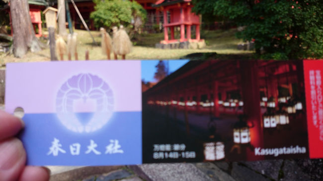 特別参拝チケット