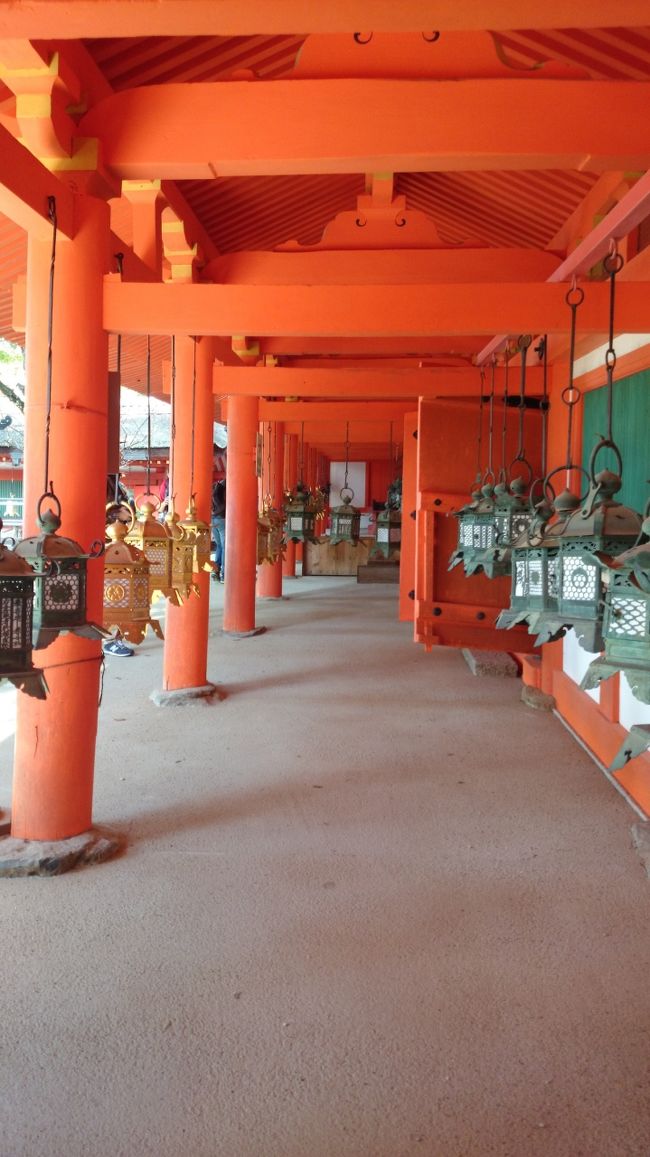 春日大社は、灯籠が沢山あることで有名です。朱色に灯籠が映えます。