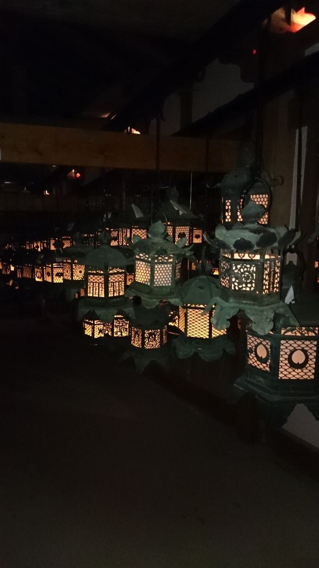 藤浪之屋では、釣り灯籠を点灯し万灯籠の幽玄な世界が再現されています。