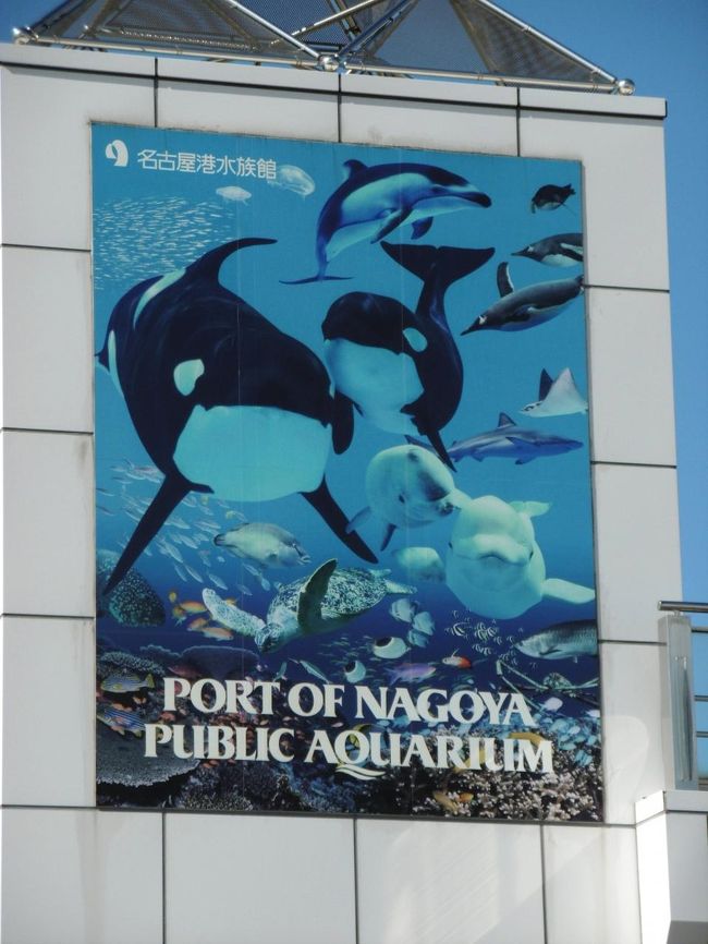 お昼ご飯を食べに 名古屋港水族館へ海の王者に逢いに行きました 名古屋港 愛知県 の旅行記 ブログ By Jilllucaさん フォートラベル お昼ご飯を食べに 名古屋港水族館へ海の王者に逢いに行きました 名古屋港 愛知県 の旅行記 ブログ By Jilllucaさん フォートラベル