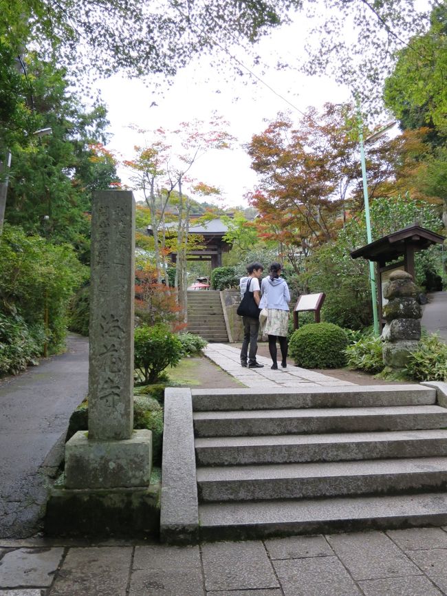 海蔵寺<br /><br />よく手入れされた境内に咲く四季の花の美しいことでも知られる。<br />早春の梅、夏の凌霄花（のうぜんかずら）・桔梗（ききょう）、初秋の萩、冬の水仙・福寿草など。