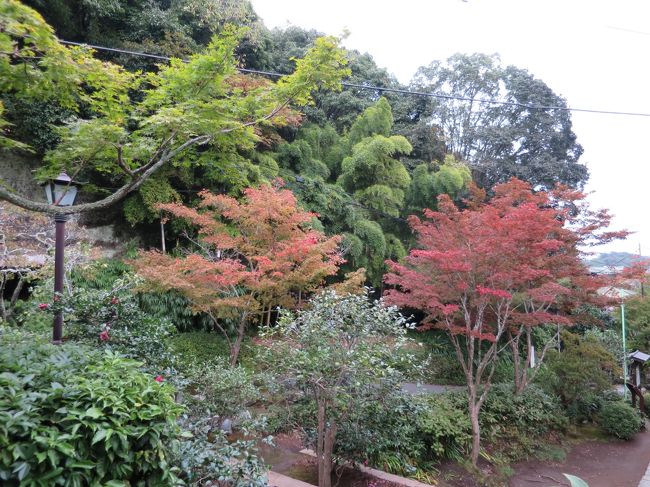 海蔵寺山門からの紅葉具合