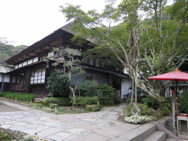 海蔵寺庫裏<br /><br />鎌倉の庫裏建築を代表するものです。<br />昔の学校の教室のようにも見える海蔵寺の庫裏は質素で実用性にも富んでいます。<br />江戸時代中期の建築ですが、素晴らしいものです。<br />