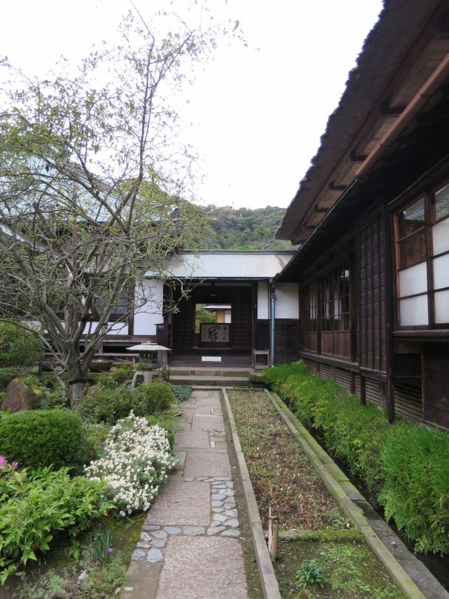 海蔵寺庫裏<br /><br />庫裏の前は陽だまりになっていて、多くの花が咲いていました。