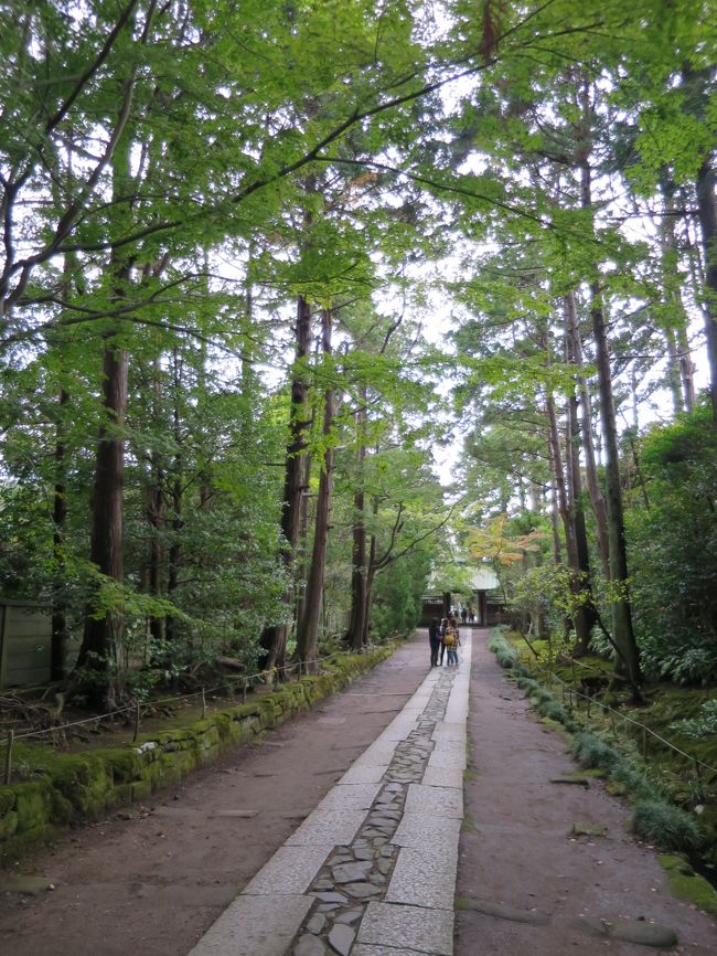 寿福寺参道を戻ります。<br /><br />