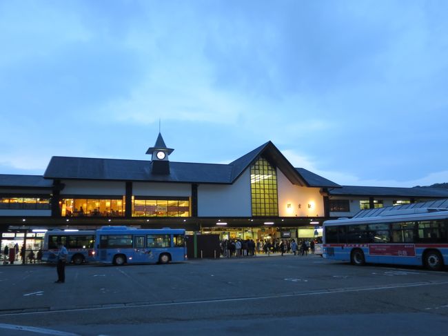 マジックアワーのような鎌倉駅<br /><br />海蔵寺、寿福寺とも初訪問のお寺なので興味深く見学でき、素晴らしい鎌倉散歩が出来ました。