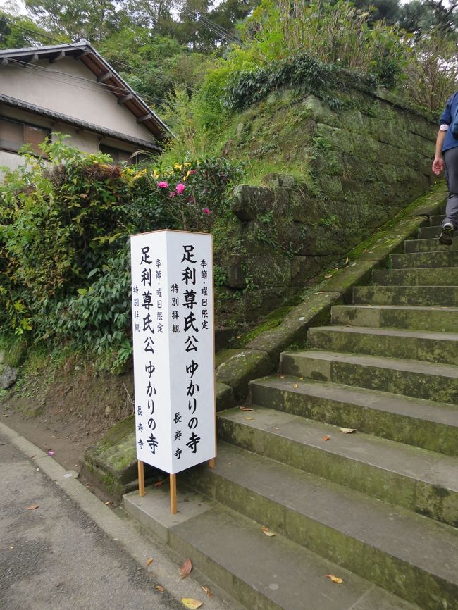 長寿寺  <br /><br /> 鎌倉公方の足利基氏が父の足利尊氏供養のため、開山に古先印元を迎えて建てたといわれています。<br />尊氏は延文三年 (1358) 没していますが、建立もこの年とされています。 <br /><br />長寿寺の名前は、尊氏の法名が長寿寺殿といわれたことからとされています。 <br />境内には足利尊氏の墓という石塔があり、遺髪が埋葬されているといわれます。<br />かって境内は非公開であったが、近年は春（4月〜6月）と秋（10月〜11月）の週末（金〜日)限定で公開を行っている。