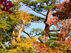 国営昭和記念公園