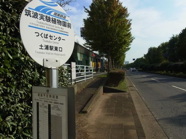 　これで筑波実験植物園巡りは終わりです。駆け足の見物でしたが、じっくりと観るためには何日も掛かると思います。植物や樹木に興味のある方は必見でしょう。<br /><br />　帰りは歩く元気も無くなったので、バスでつくば駅に戻りました。<br /><br />　筑波実験植物園物語をお終いにします。お読み頂き有難うございました。