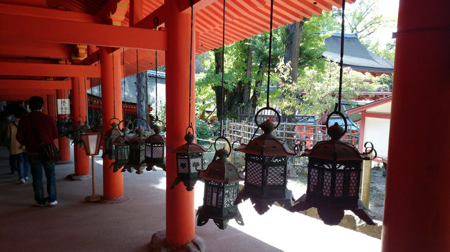 平安時代から現代まで奉納された灯籠は、約三千基だそうです。