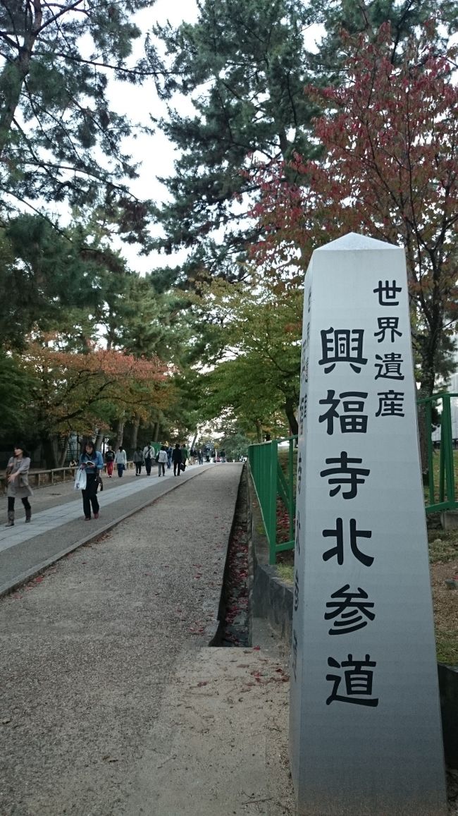 帰り道、興福寺にも立ち寄りました。