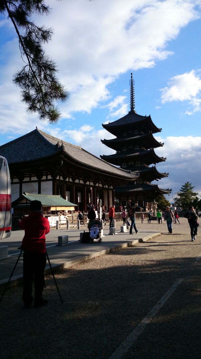 東金堂と五重塔<br />どちらも国宝です。