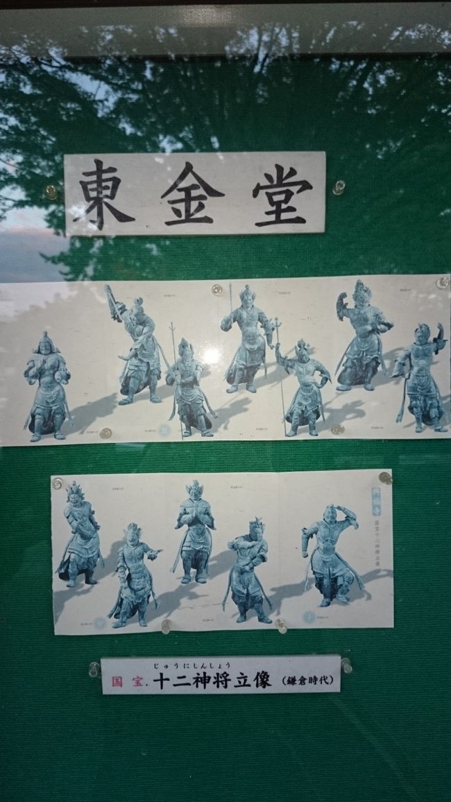 東金堂には、薬師如来座像をはじめ  木造十二神将立像など沢山の展示があり、今年は後堂からも見る事ができます。
