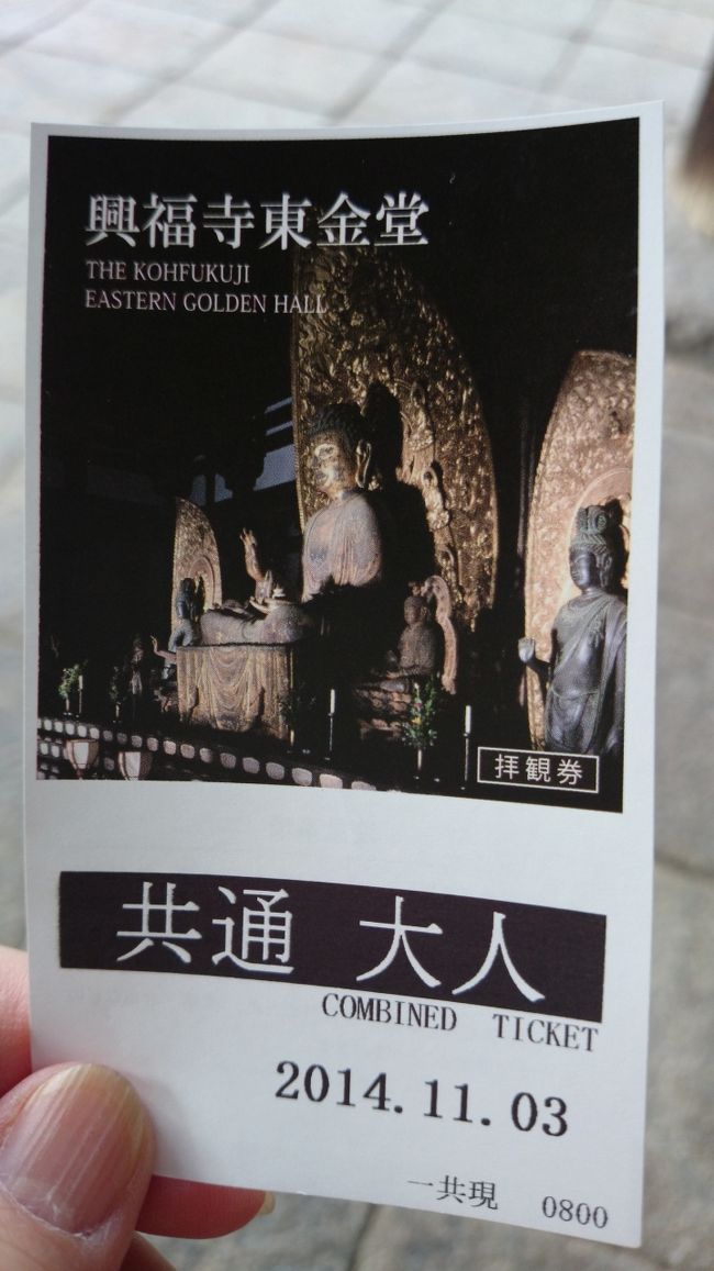 東金堂と国宝館共通のチケット