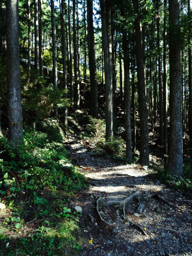 現代版 熊野詣 世界遺産 熊野古道 中辺路 なかへち のハイライトを歩き 熊野古道のシンボル 牛馬童子 へ 熊野本宮大社 へ訪れ 牛王宝印 を授かる旅 熊野の歴史にまつわる謎に迫ります 熊野本宮 湯の峰温泉 和歌山県 の旅行記 ブログ By Aoitomo