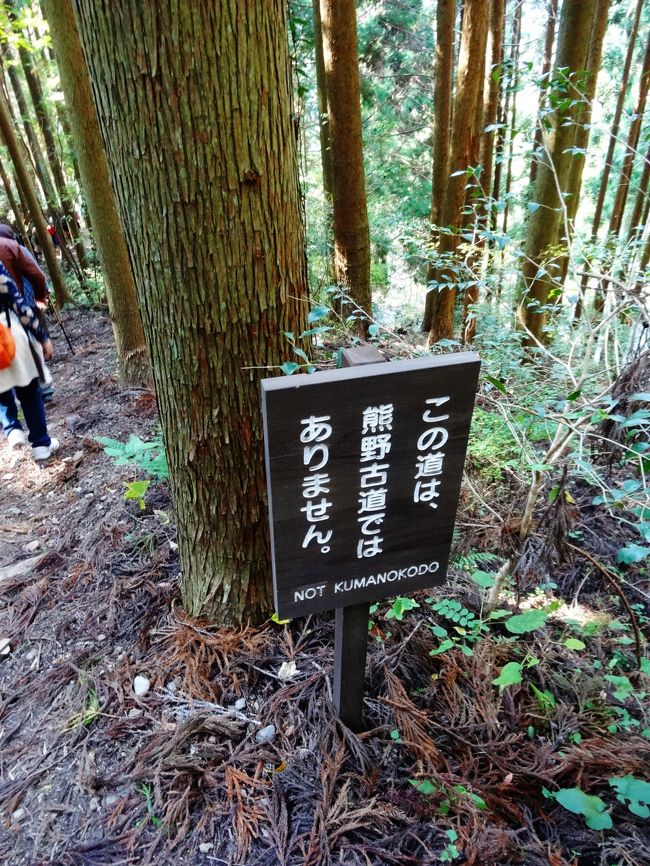 現代版 熊野詣 世界遺産 熊野古道 中辺路 なかへち のハイライトを歩き 熊野古道のシンボル 牛馬童子 へ 熊野本宮大社 へ訪れ 牛王宝印 を授かる旅 熊野の歴史にまつわる謎に迫ります 熊野本宮 湯の峰温泉 和歌山県 の旅行記 ブログ By Aoitomo 現代版 熊野詣 世界遺産 熊野古道 中辺路 なかへち のハイライトを歩き 熊野古道のシンボル 牛馬童子 へ 熊野本宮大社 へ訪れ 牛王宝印 を授かる旅 熊野の歴史にまつわる謎に迫ります 熊野本宮 湯の峰温泉 和歌山県 の旅行記 ブログ By Aoitomo
