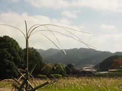 川原寺跡には竹のオブジェが。風に揺れる姿が素敵です。