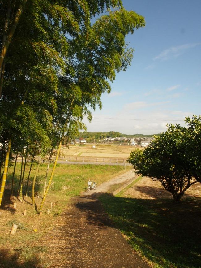 今日の愛車。レンタサイクル屋さんでマップを貰いました。坂が明記してあってわかりやすい！途中で落としそうだな〜と思っていたのですが、案の定無くしました。そこからは、初日に近鉄奈良駅で貰っていたマップを使う事に。