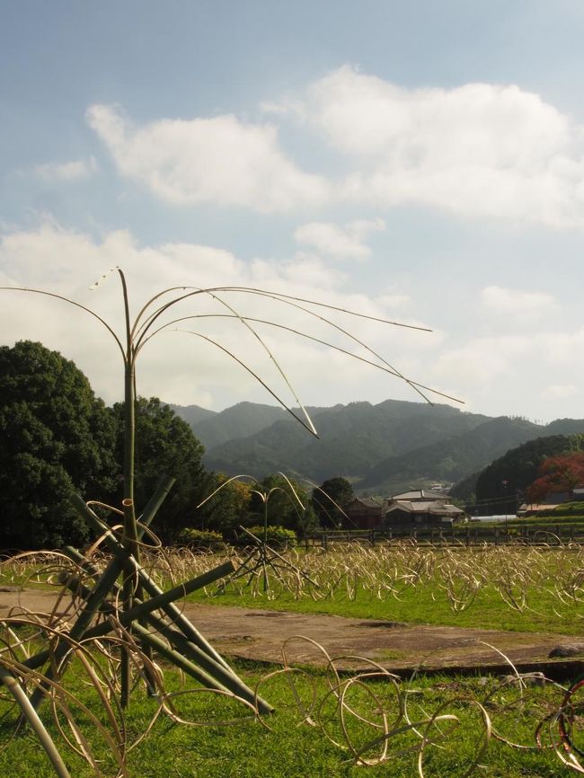 川原寺跡には竹のオブジェが。風に揺れる姿が素敵です。