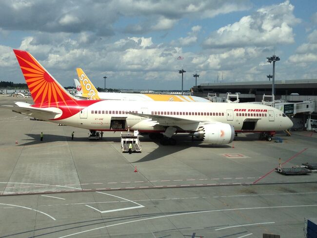 B787-8 エアインディア 飛行姿勢 (スタンド付属) 希少